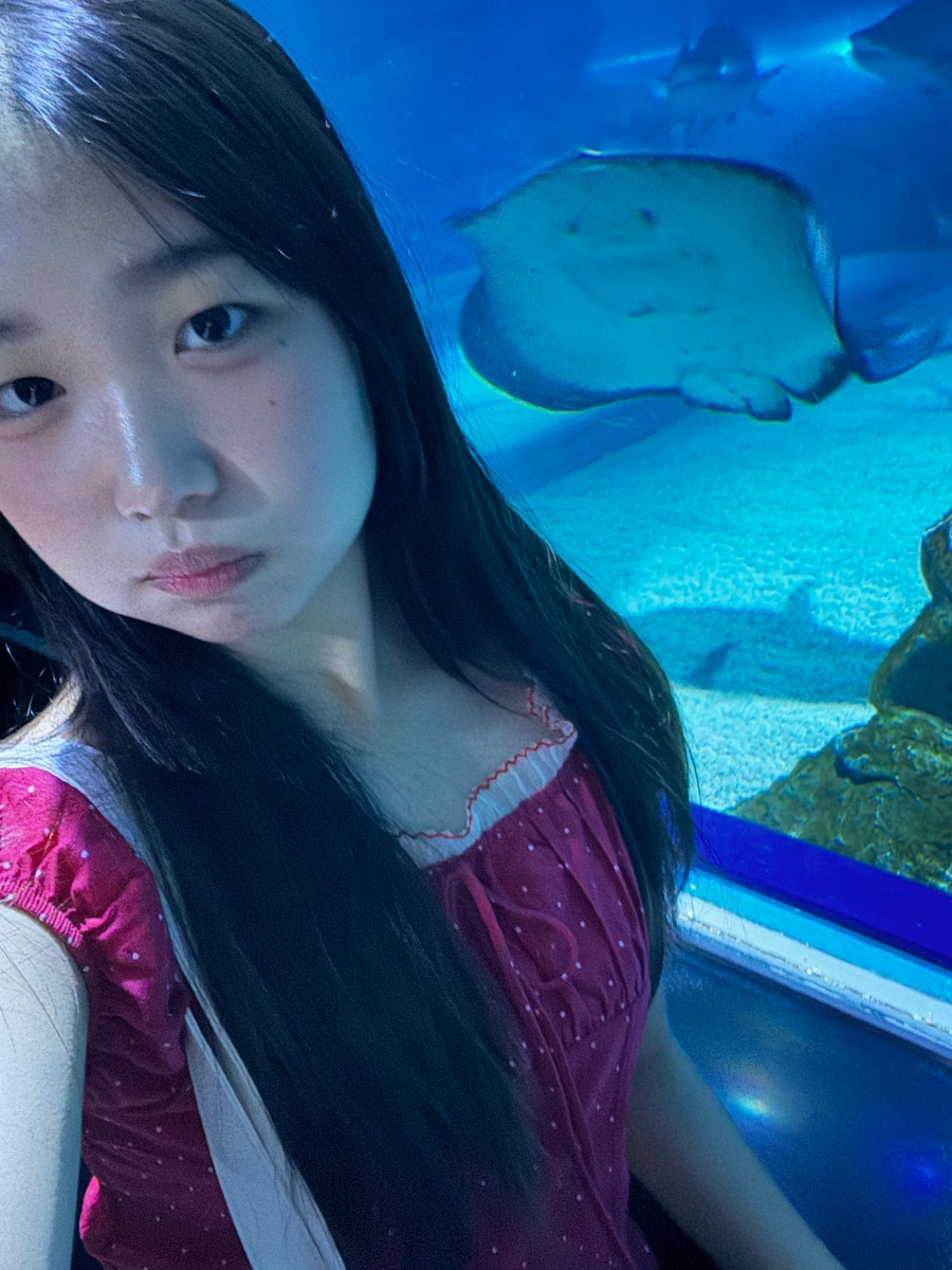 포트폴리오