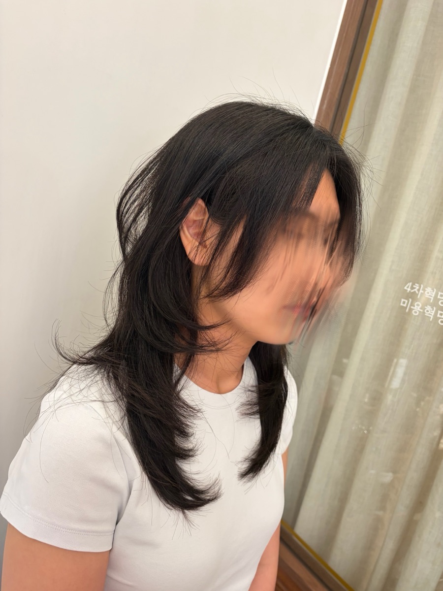 포트폴리오