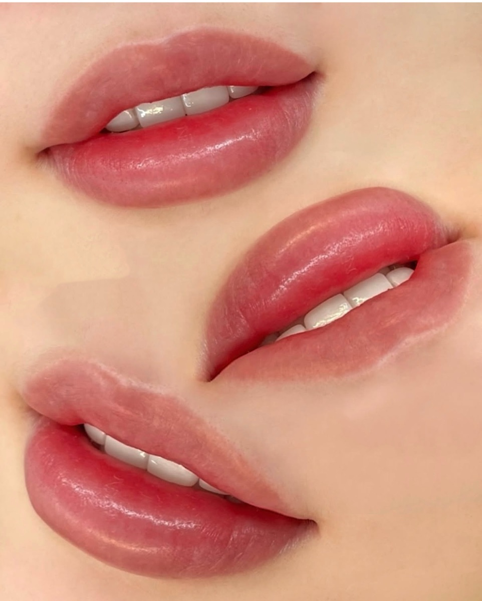 포트폴리오